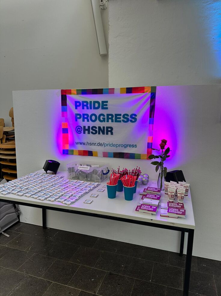 Impression of the PrideProgress network meeting in the summer semester 2025