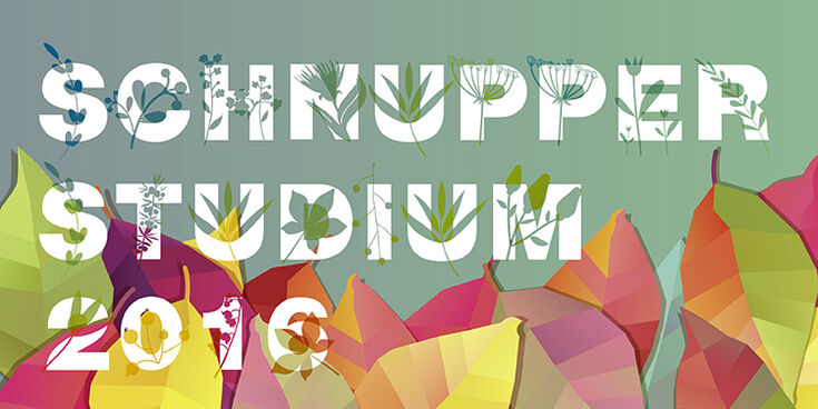 Schnupperstudium_2016_Grafik